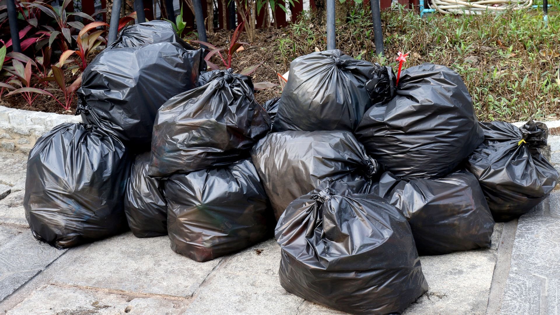 Several black garbage bags stacked on concrete near some plants